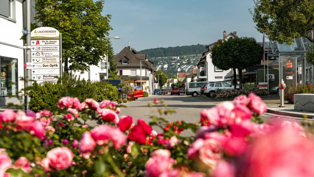 Blick auf eine ruhige Straße in Lauchringen mit blühenden Rosen, Häusern und parkenden Autos im Hintergrund.