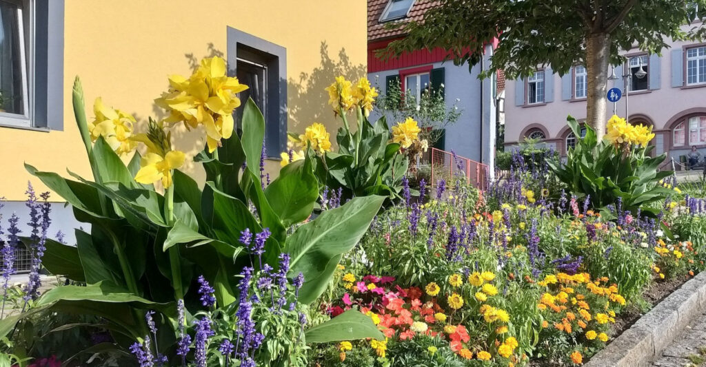 Bunte Blumenrabatte mit gelben, lila und orangefarbenen Blüten vor einem gelben und grauen Gebäude.